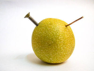 Lemon 1.jpg