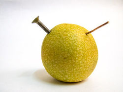 Lemon.jpg